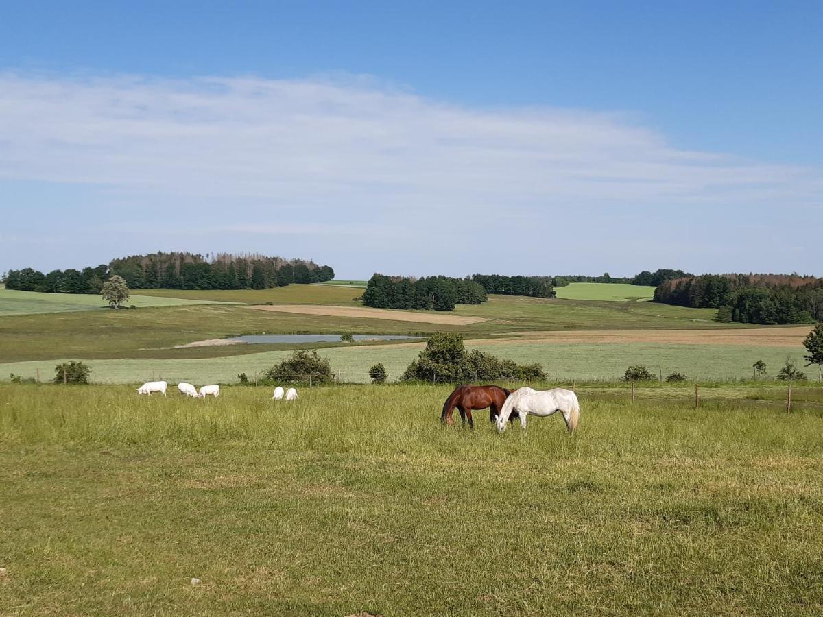 Ubytovani U Krivanku 1 Telč Exterior foto