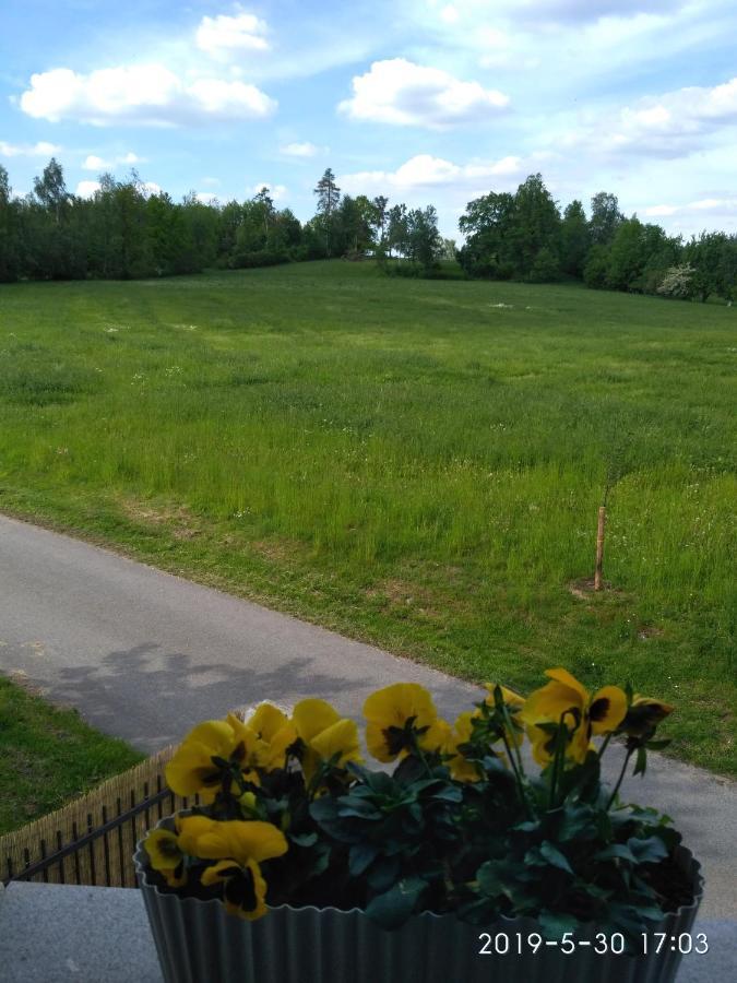 Ubytovani U Krivanku 1 Telč Exterior foto