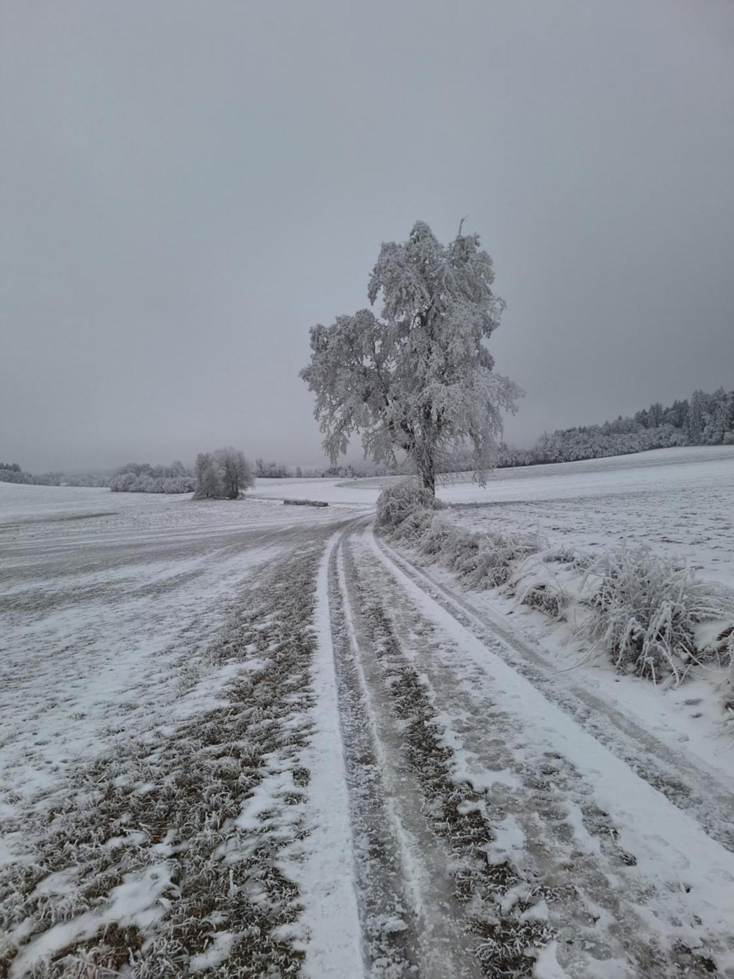 Ubytovani U Krivanku 1 Telč Exterior foto