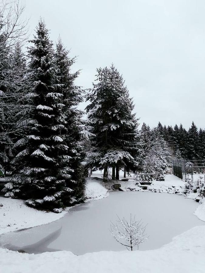 Ubytovani U Krivanku 1 Telč Exterior foto